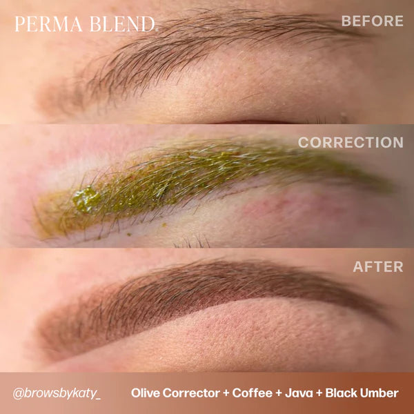 Perma Blend PMU Pigment Corrector Mini Set