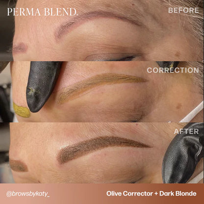 Perma Blend PMU Pigment Corrector Mini Set