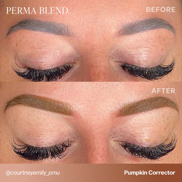 Perma Blend PMU Pigment Corrector Mini Set