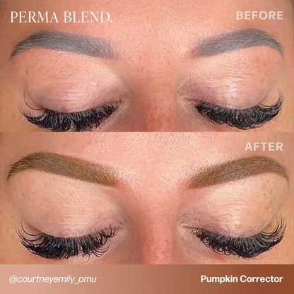 Perma Blend PMU Pigment Pumpkin Corrector —— 0.5oz