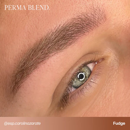 Perma Blend PMU Pigment Fudge —— 0.5oz