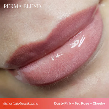 Tina Davies Envy Lip PMU Pigment Dusty Pink —— 0.5oz