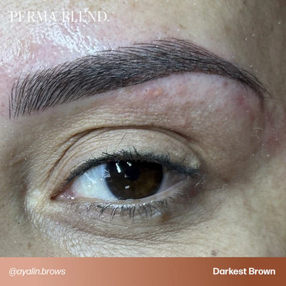 Perma Blend PMU Pigment Darkest Brown —— 0.5oz