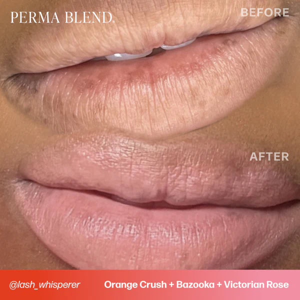 Perma Blend PMU Pigment Sultry Lip Bazooka —— 0.5oz