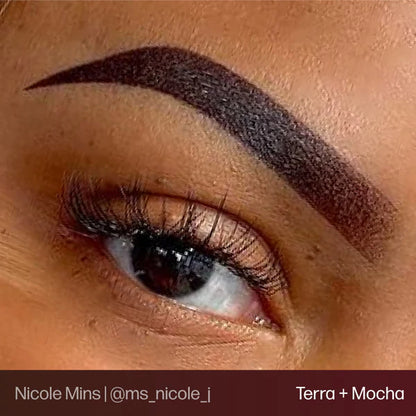 Evenflo PMU Pigment Brow Set