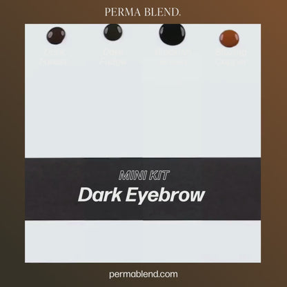 Perma Blend PMU Pigment Dark Eyebrow Mini Set