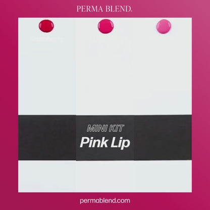 Perma Blend PMU Pigment Pink Lip Mini Set