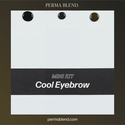Perma Blend PMU Pigment Cool Eyebrow Mini Set