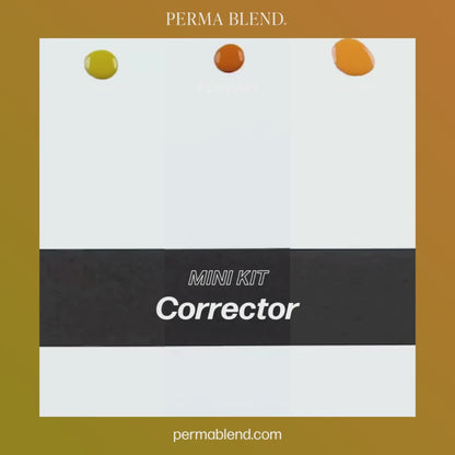 Perma Blend PMU Pigment Corrector Mini Set