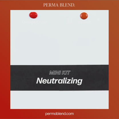 Perma Blend PMU Pigment Neutralizing Mini Set